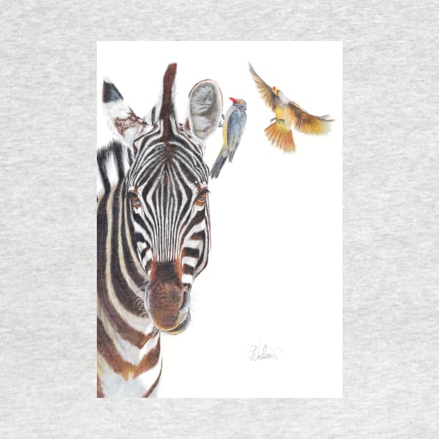 Horse Whisperer - zebra coloured pencil drawing by Mightyfineart